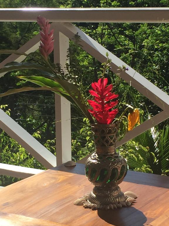 Casa Verde E Mar Angra dos Reis Eksteriør billede